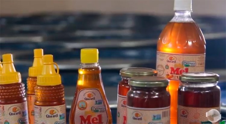 produção de mel em Picos
